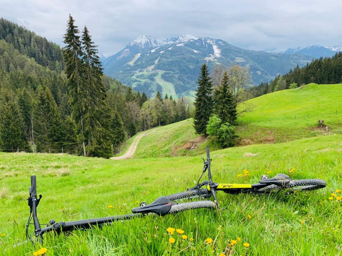 Bergkristallhaus Ramsau am Dachstein Ngoại thất bức ảnh