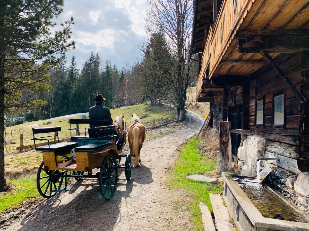Bergkristallhaus Ramsau am Dachstein Ngoại thất bức ảnh